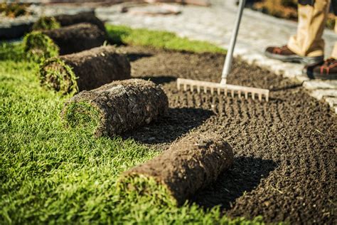 sod installation sacramento|Sacramento Sod, Sod Installation & Hydroseed 